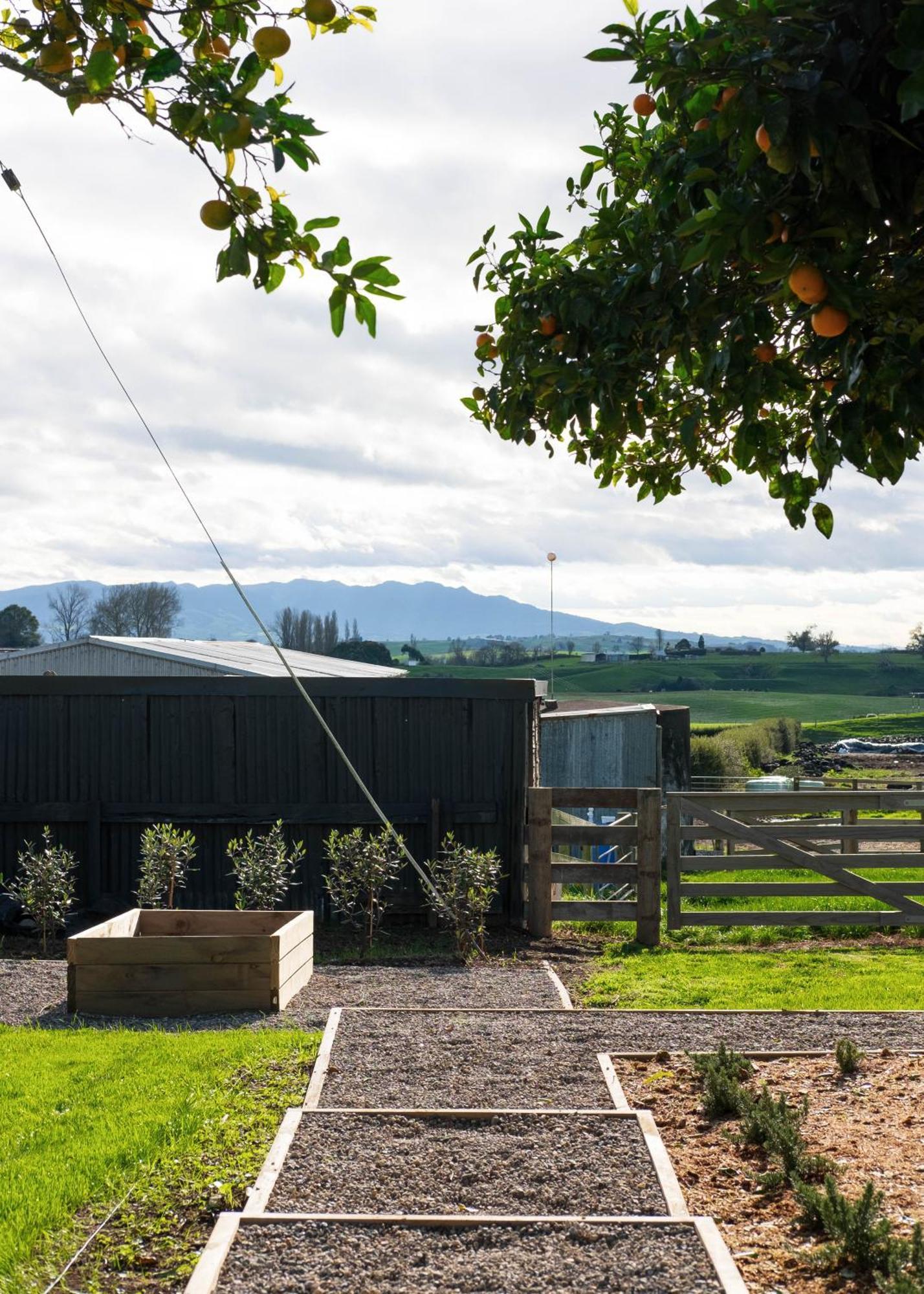 Willow View Cottage - Beautiful Farm Views Close To Waitomo Отороганга Екстер'єр фото